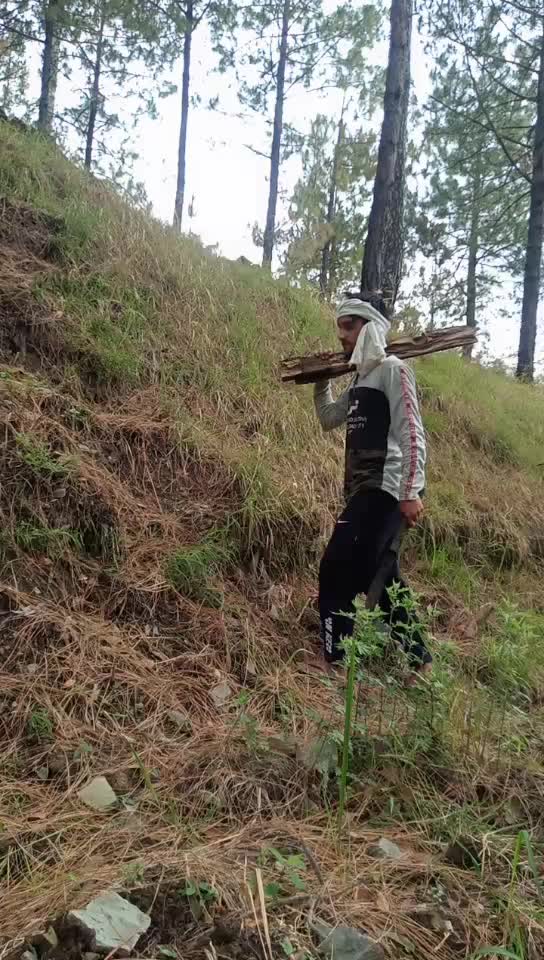 @Bhatt Jiti