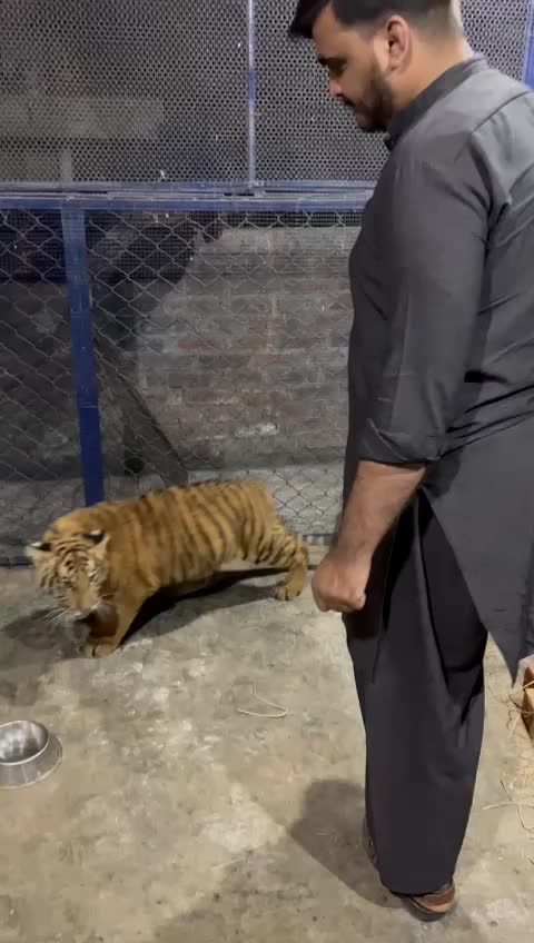 @Youniskhakwani