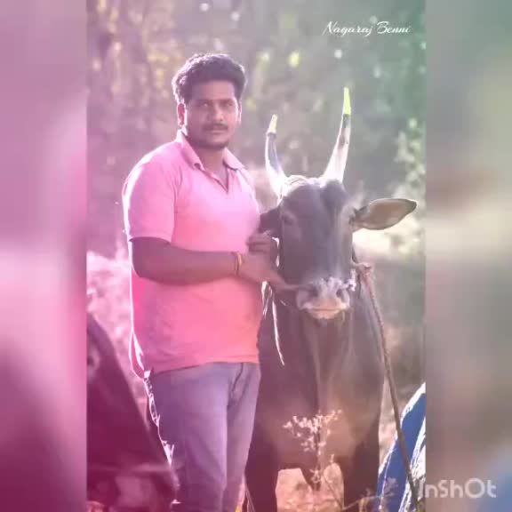 @🐂🌍MURUGESH🌍🐂