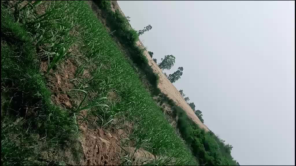 @user6424130769860