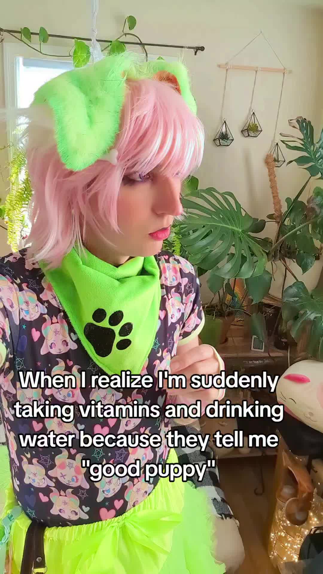 @starlit wolf