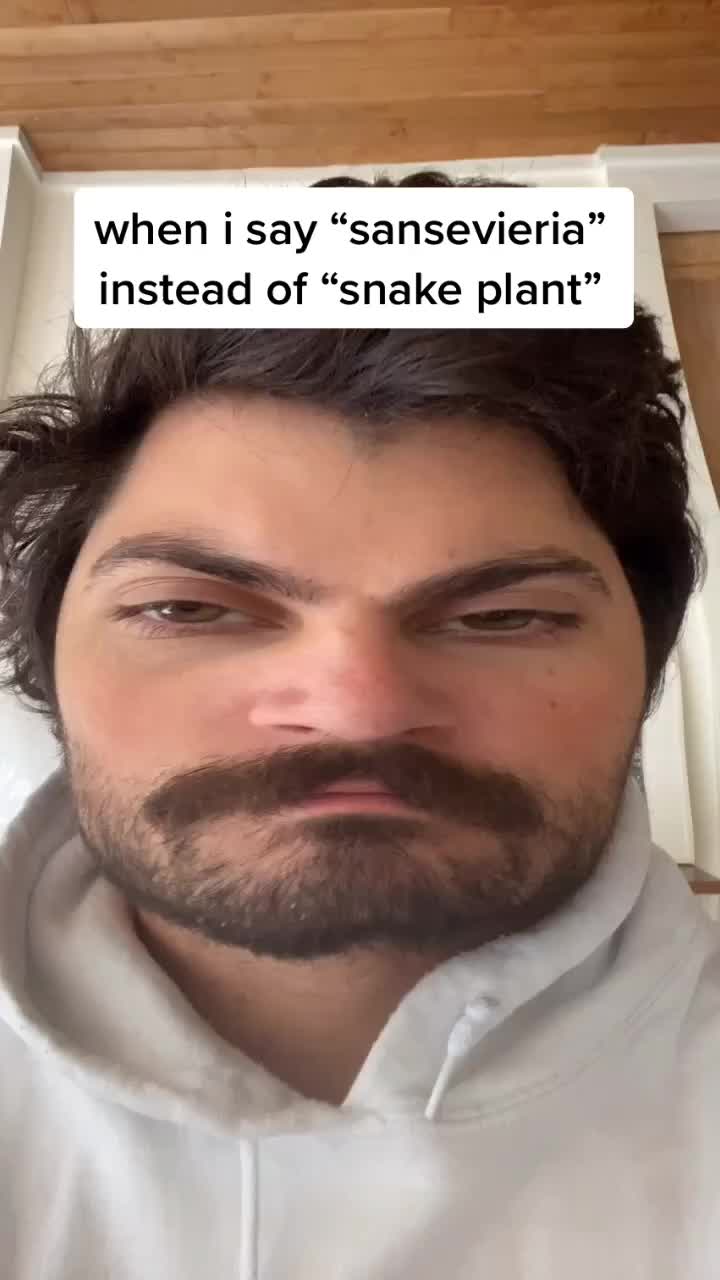 @Critter