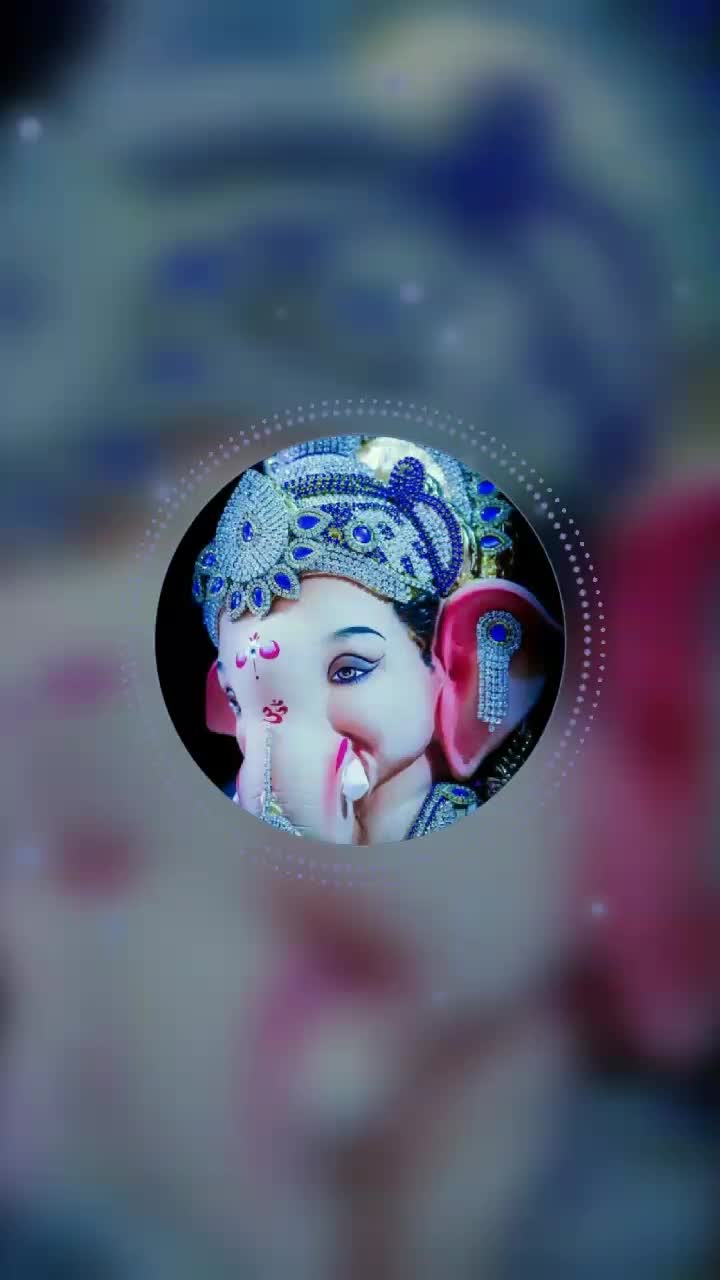 @user276846