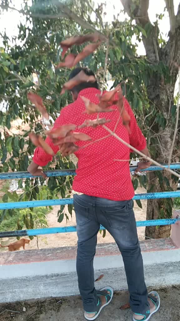 @Budunayak Budunayak
