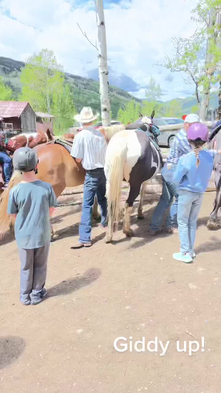 @Vail Stables