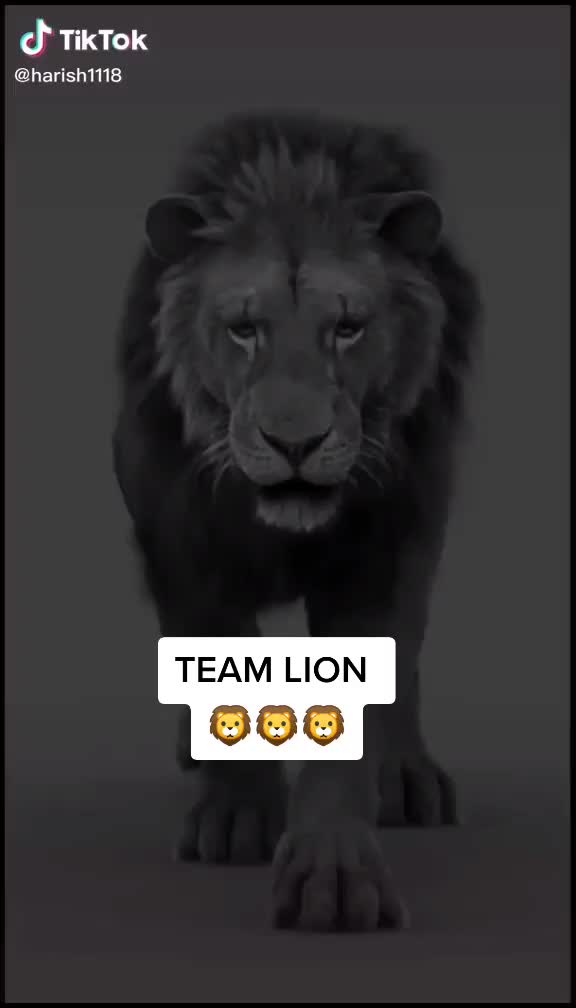 @Rohan91