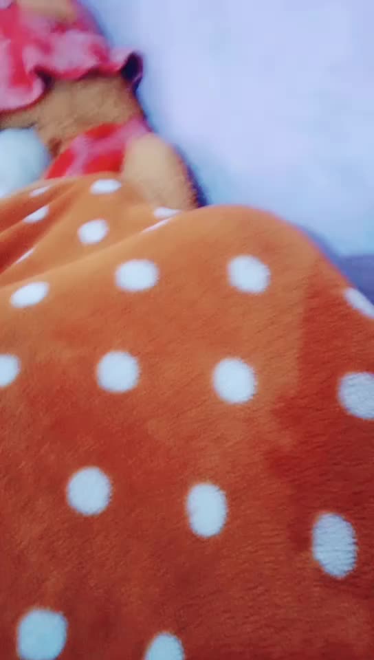 @sanyababu
