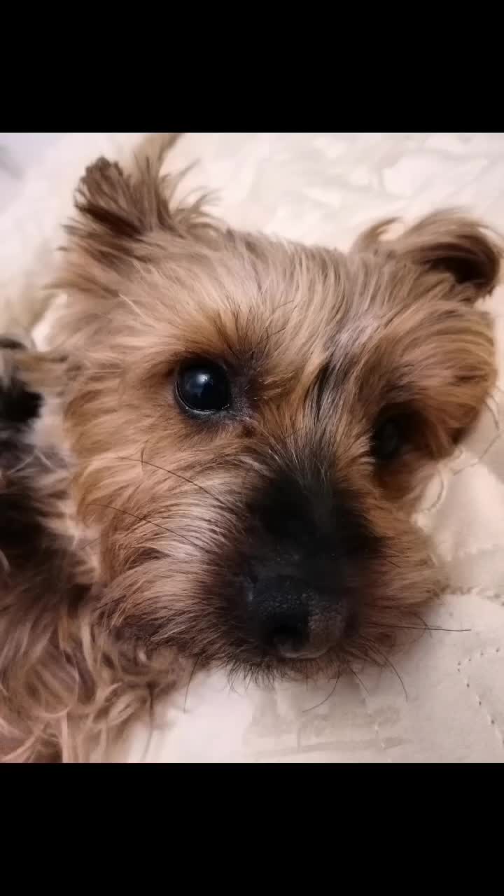 @❤️