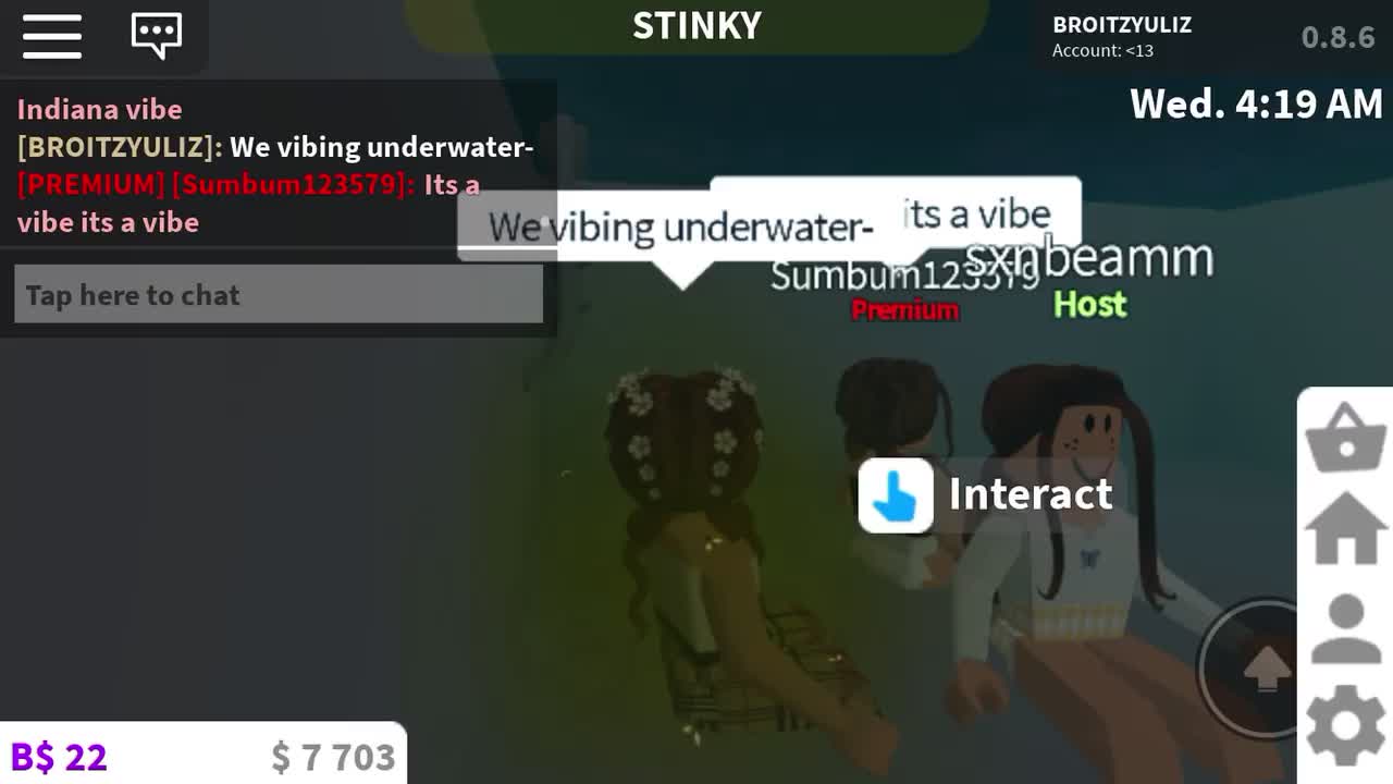 @Aesthetic.roblox✨🤍