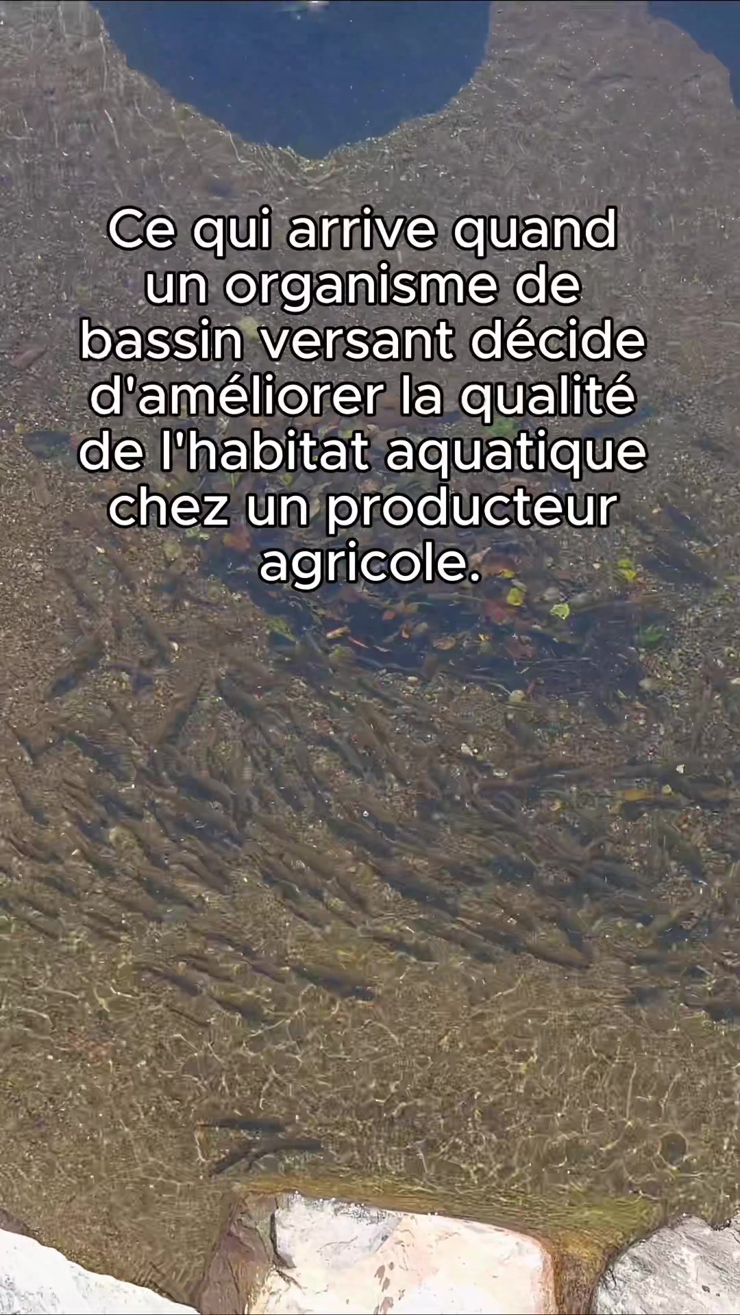 @COBARIC 🌊 Rivi&egrave;re Chaudi&egrave;re