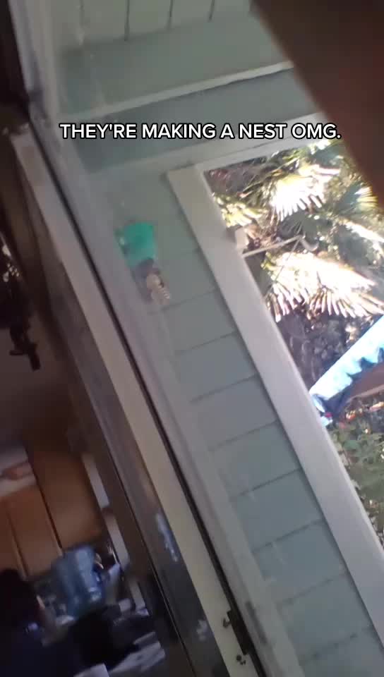 @AnonymousAlienThingz