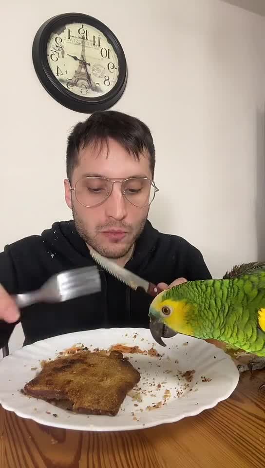 @Mister.Pepo