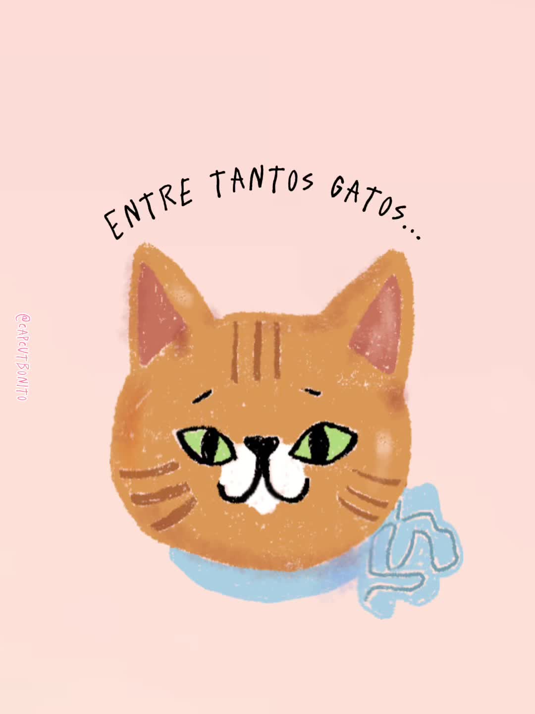 @camilaborghi 🌻🏳️&zwj;🌈