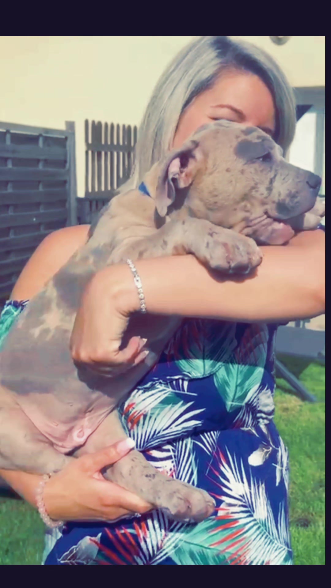@ShadowBullyXXL