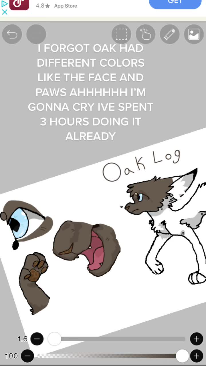 @Oak Log