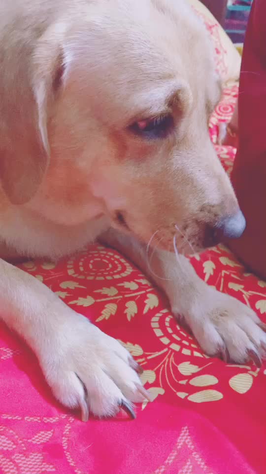 @Subhadra Mukherje550