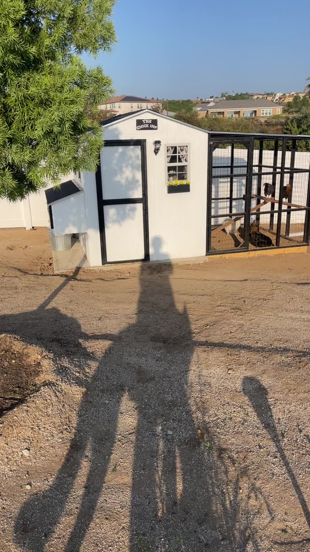 @boyanddogmommy