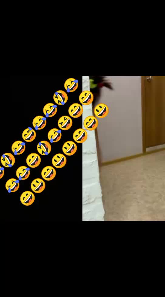 @glok816