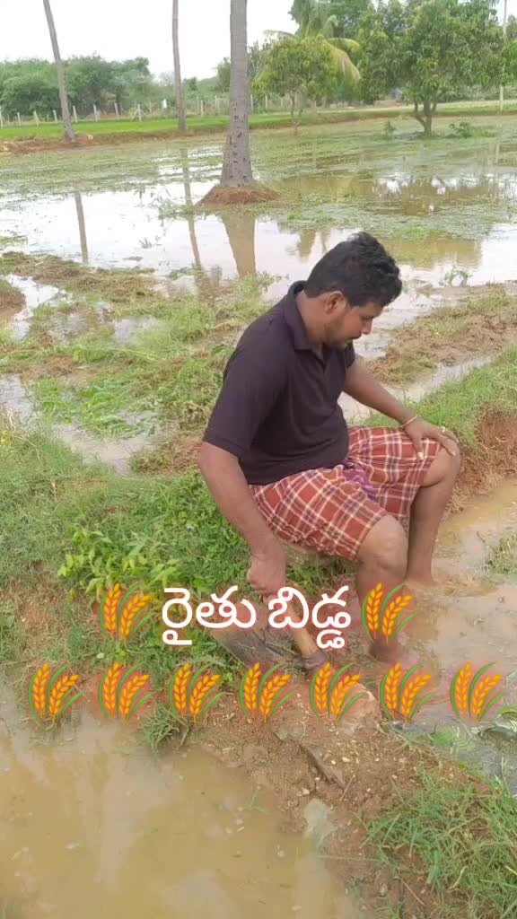 @T.Murali Krishn