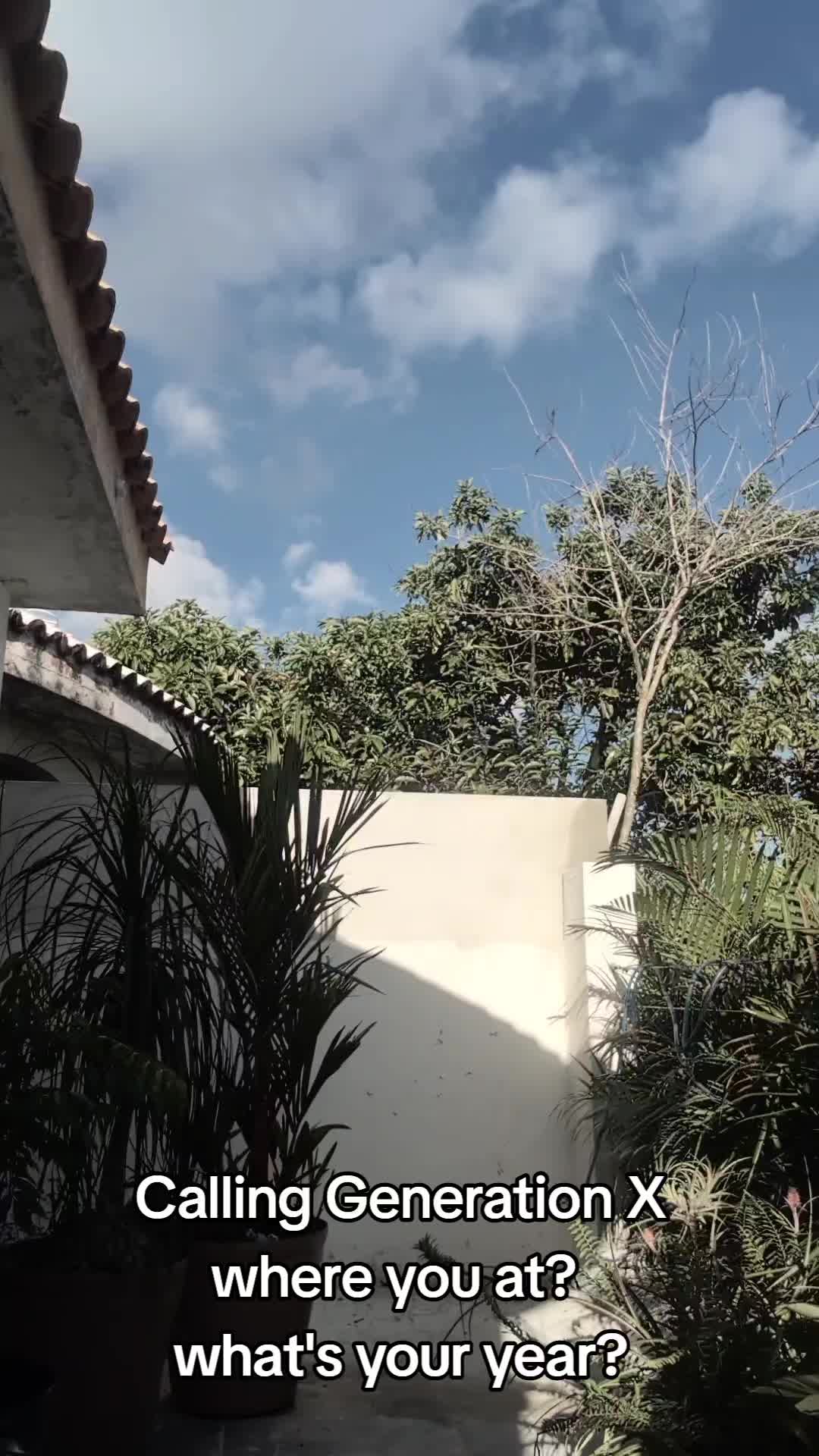 @licy