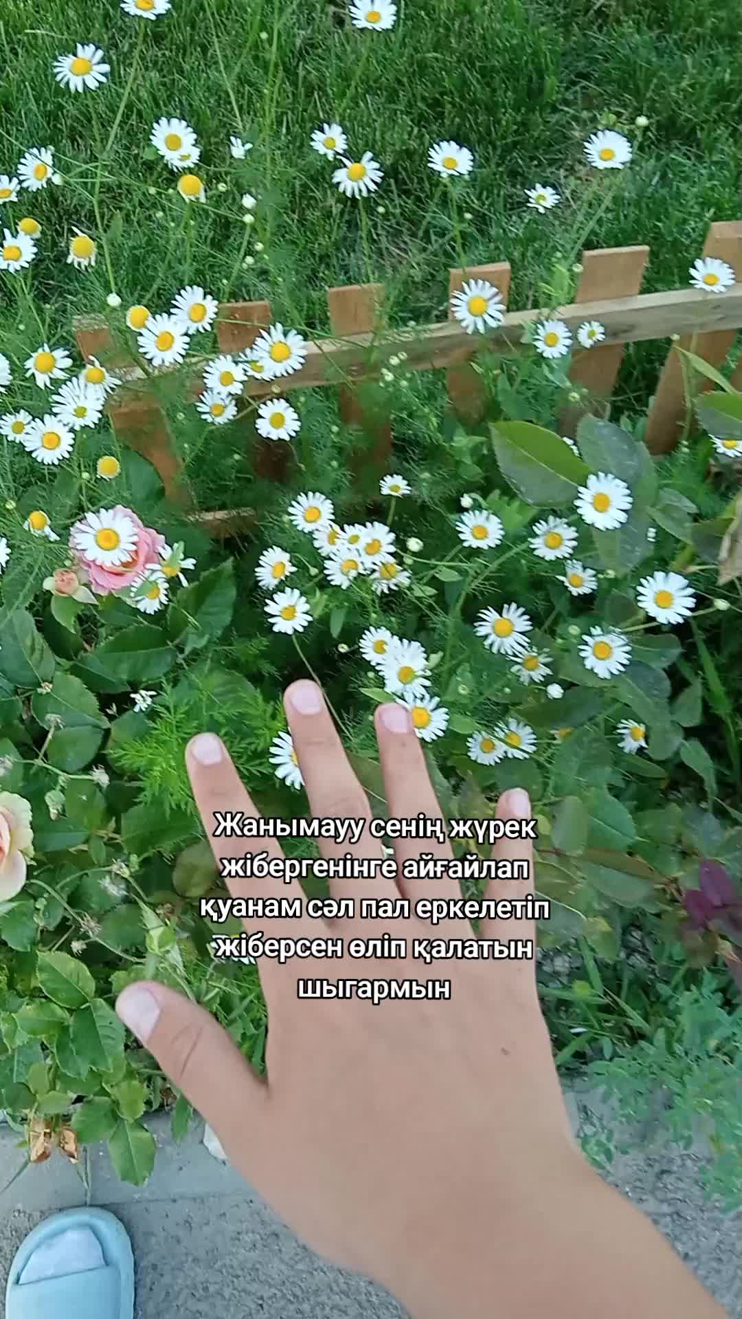 @𝑀𝑒𝒹𝒾𝓀𝑜𝓈𝒽. 𝒮