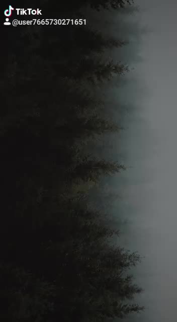 @user vibesh143