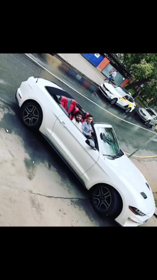 @Gayluk⚜️
