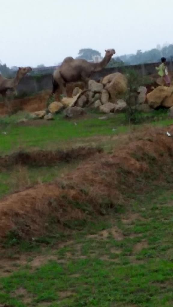 @Bholasahu149