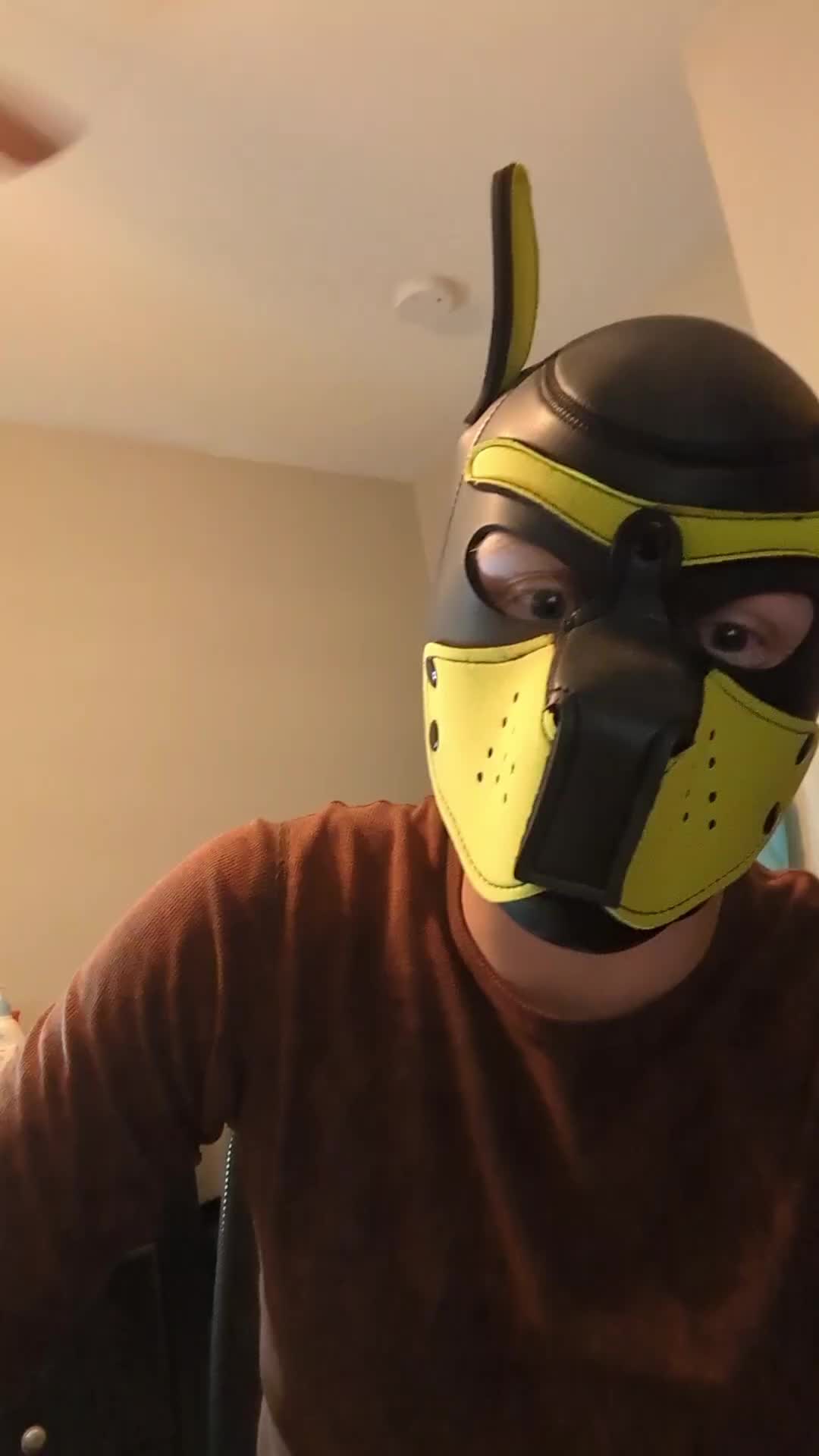 @Pup Niko
