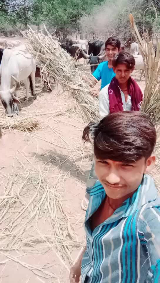 @Bharat Majiyatar42