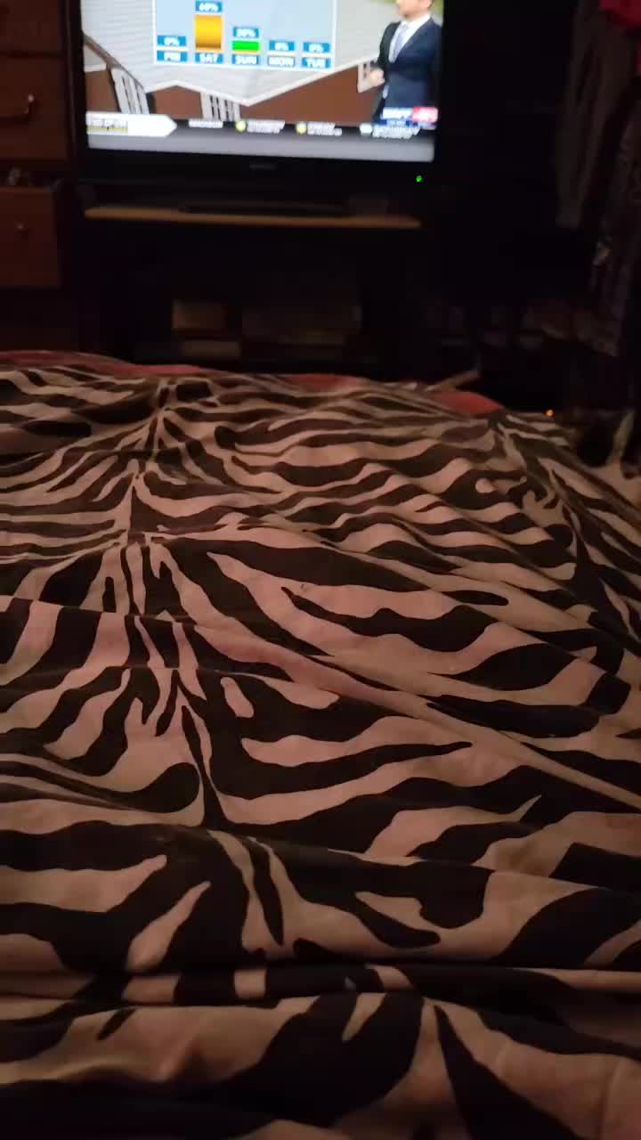 @MsMya