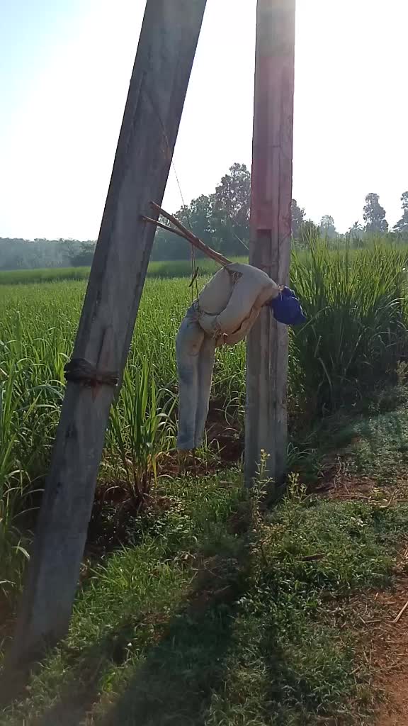@mahi mahi