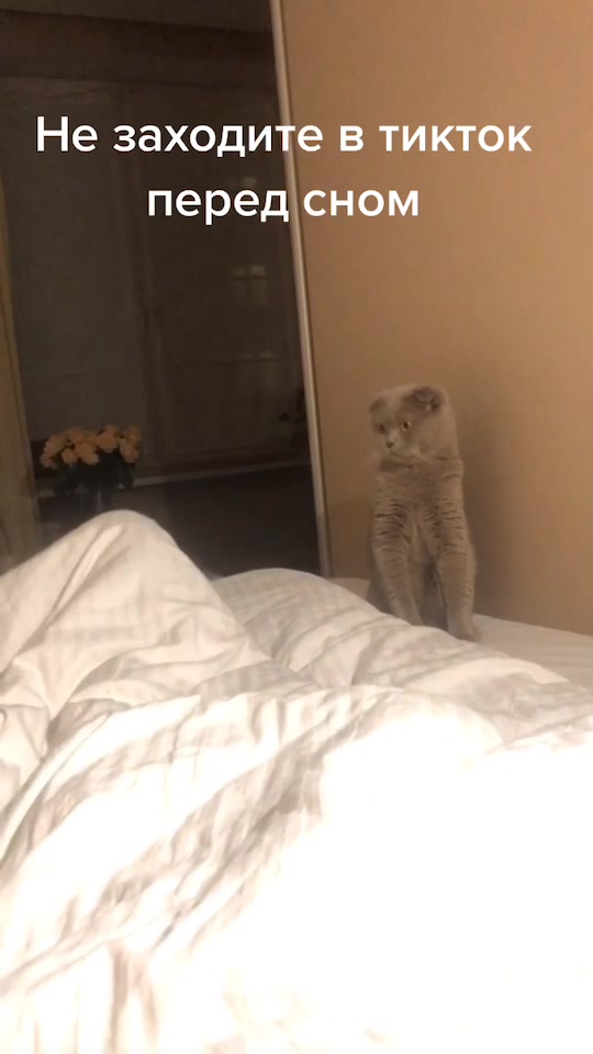 @Дарья Николаева