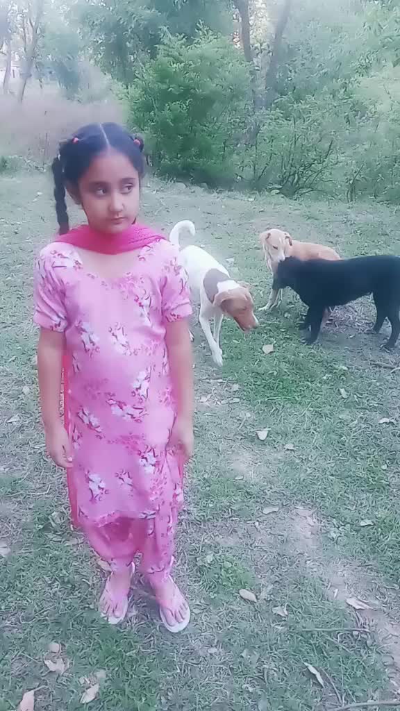 @Vicky Soni