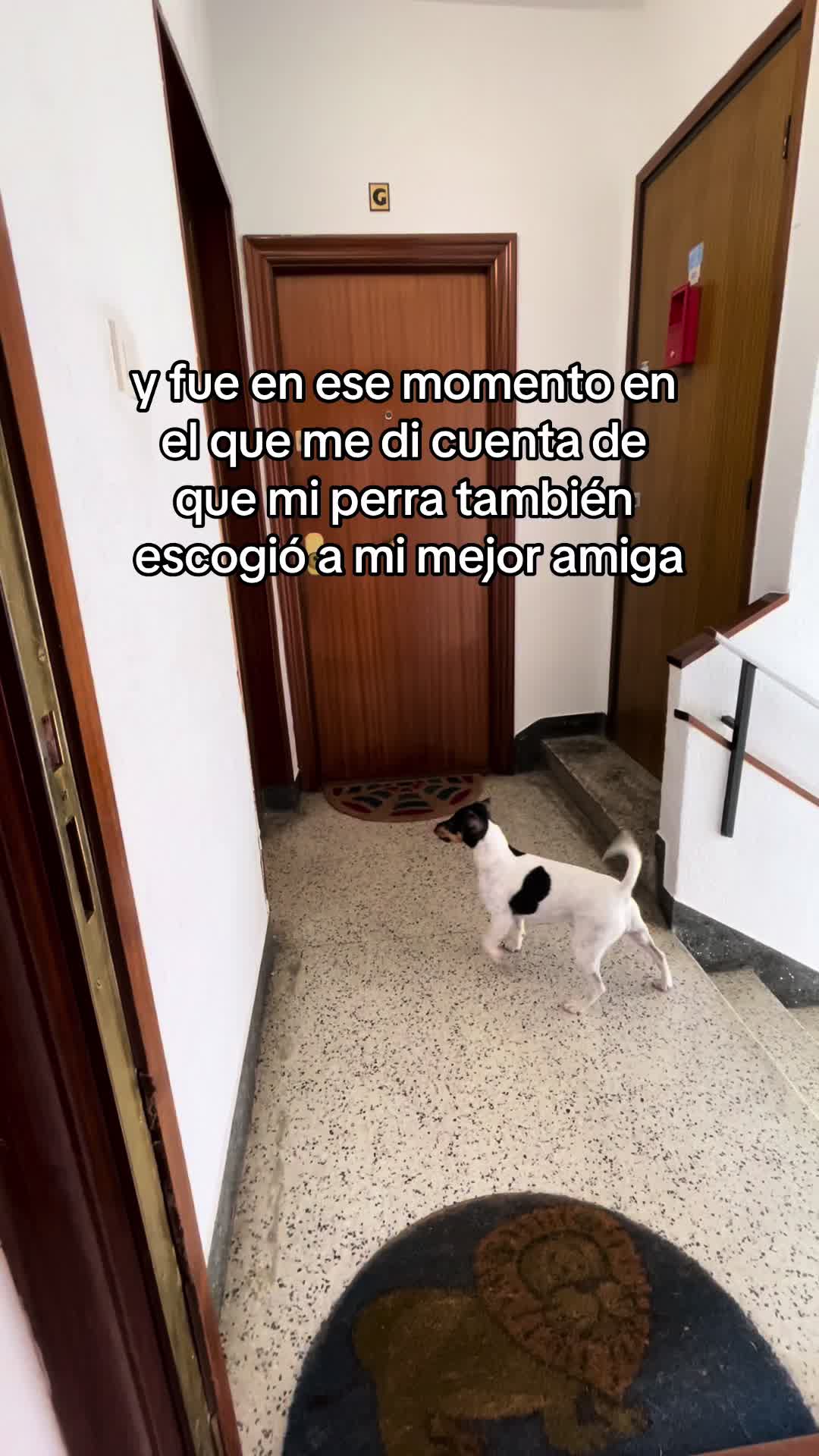 @𝓐🦋