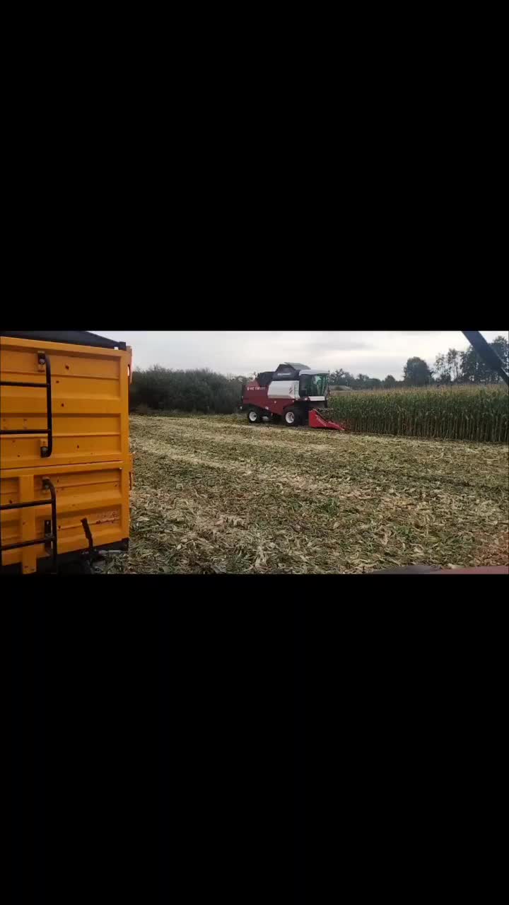@AgroKacpry
