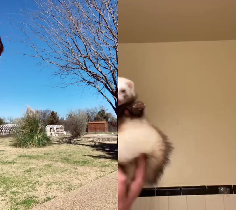 @Emmi.boo