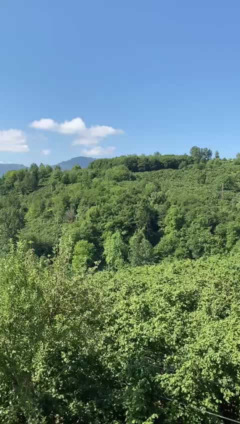 @Bahadır Kemikçi