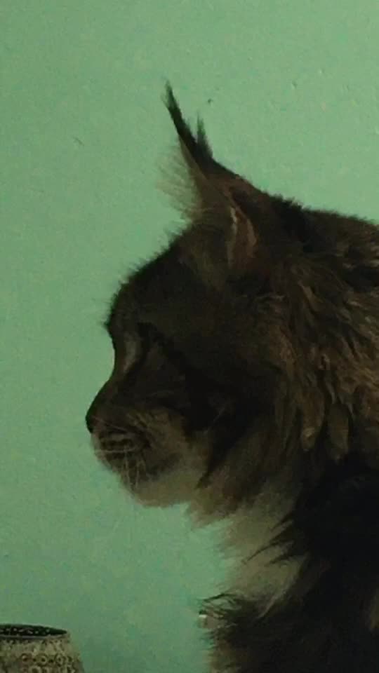 @𝐻𝑙𝑒𝑑𝑎́𝑠̌ 𝑛𝑒̌𝑐𝑜?