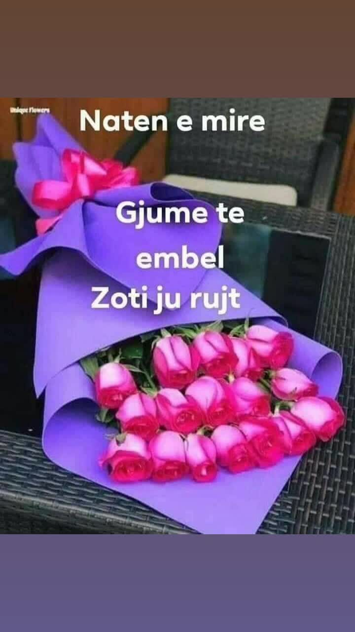 @MONI 65