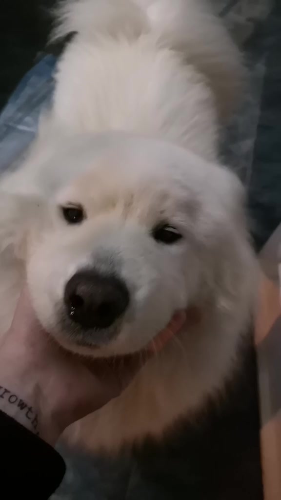@daily.dose.of.archie