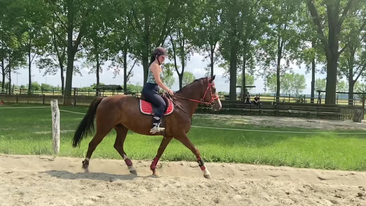 @Vas Dori🇭🇺