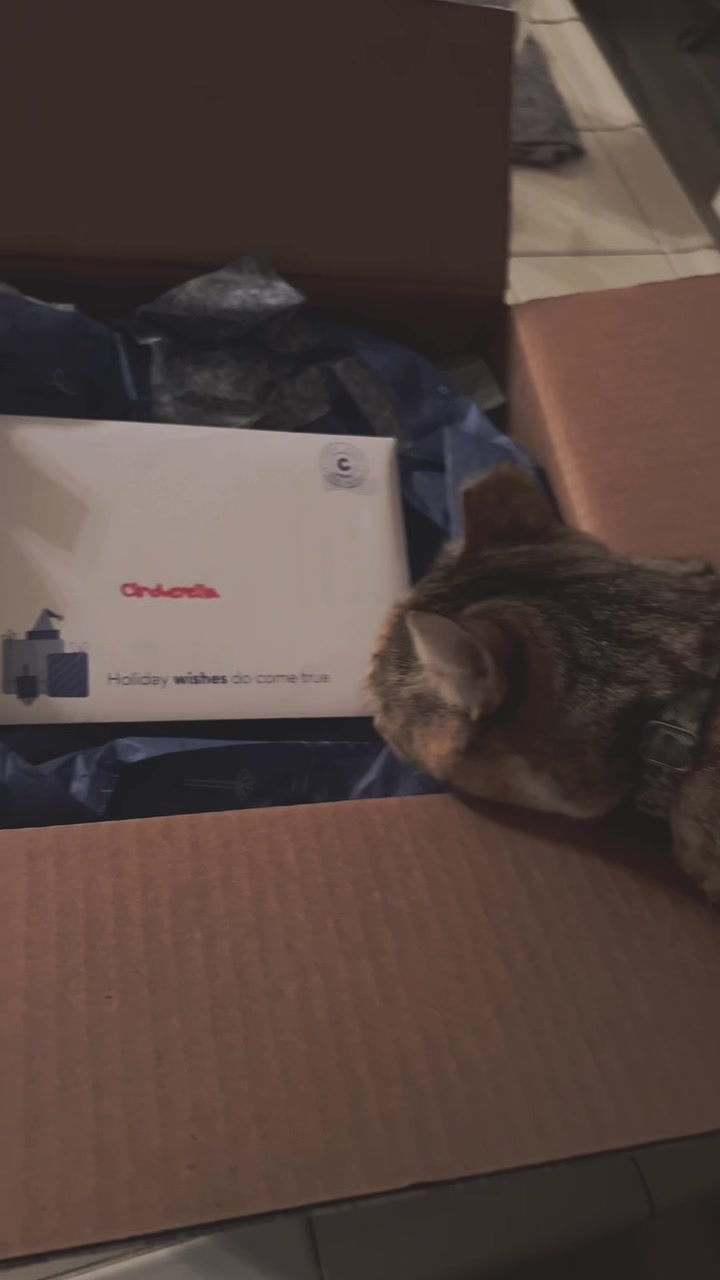 @Mira