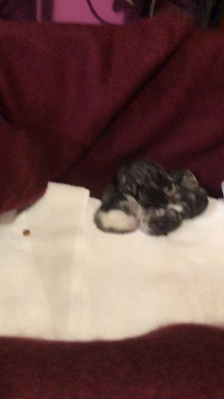 @Danielle Casino