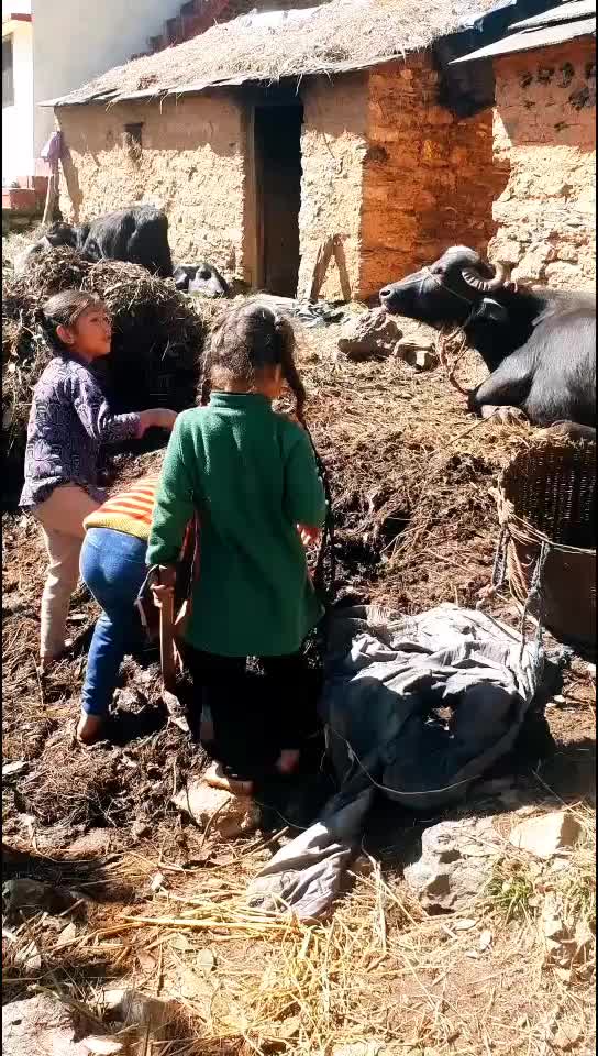 @पहाड़ी_ परवीन_07