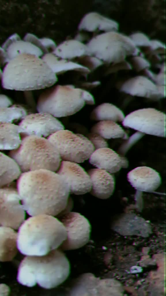 @Ꮵꍟꈤꋪꌩ