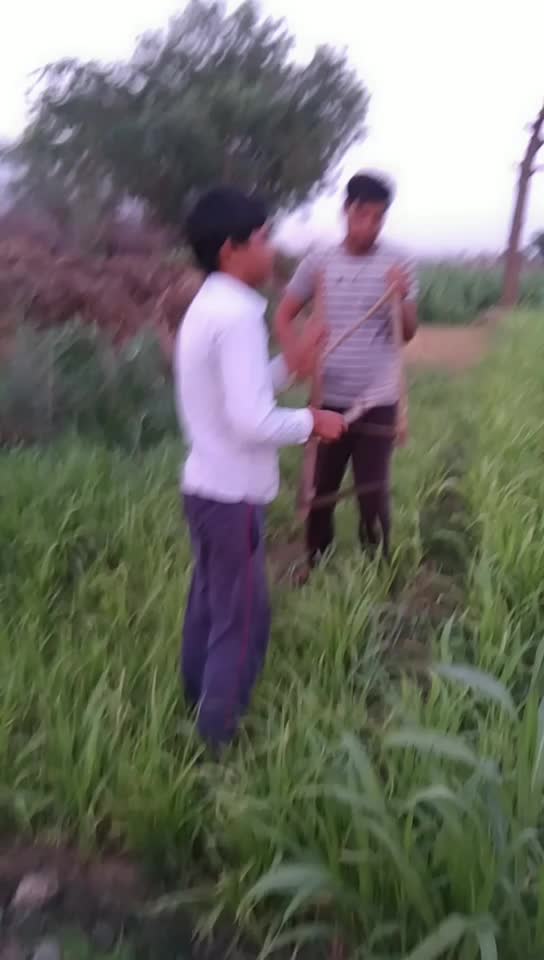 @Bahadur Singh Meena