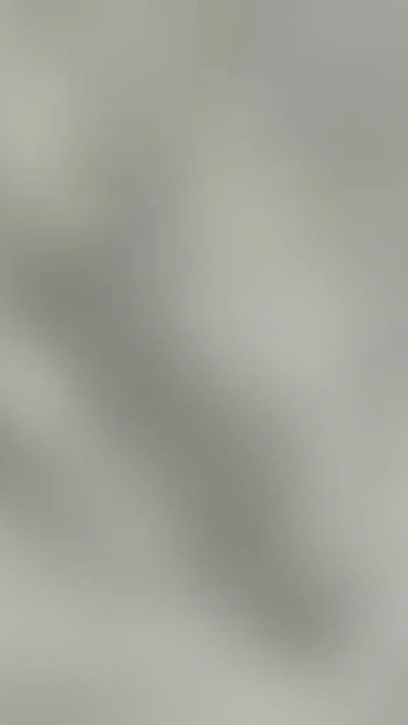 @javediqbal3268