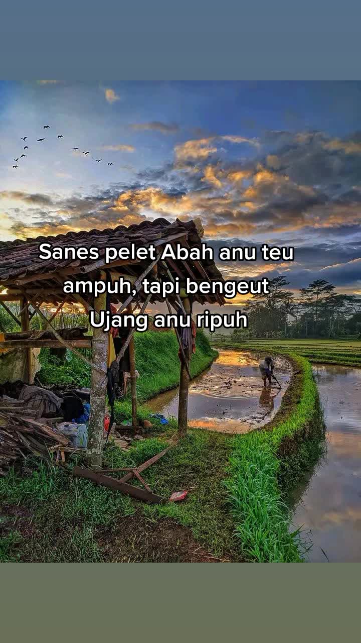 @MANG DULL