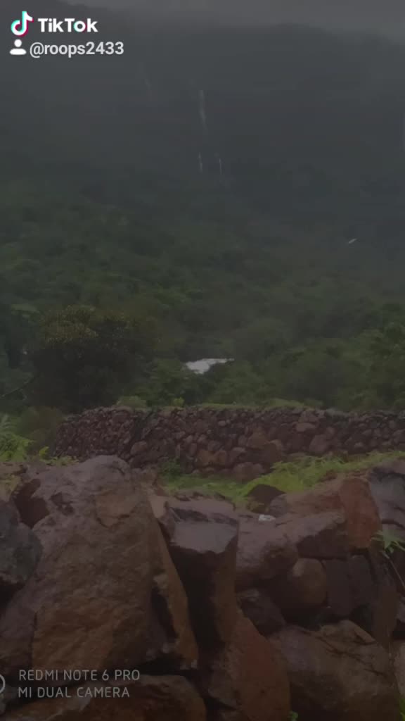 @Rupali Padwal